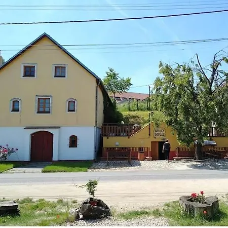 Andelsky Sklipek Villa