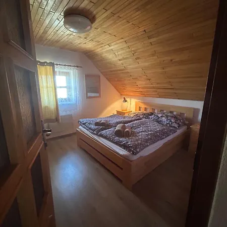 Andelsky Sklipek * Dolni Vestonice