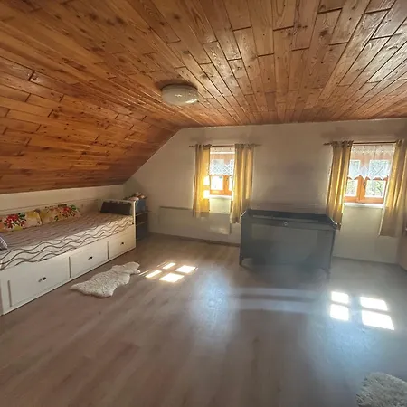 Andelsky Sklipek Dolni Vestonice